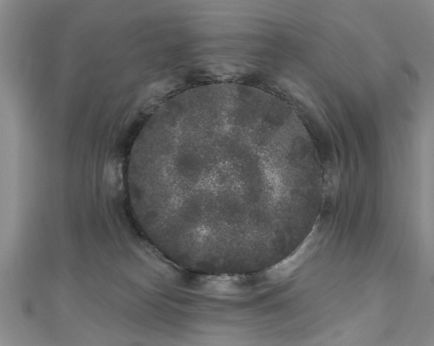 X0000110940182200906261308