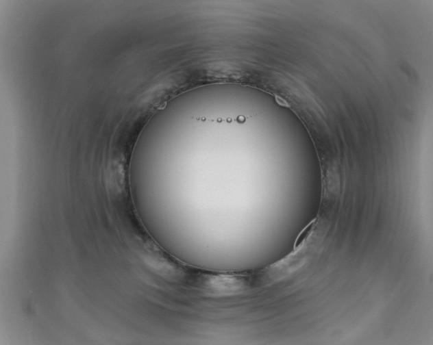 X0000110940183200906261308