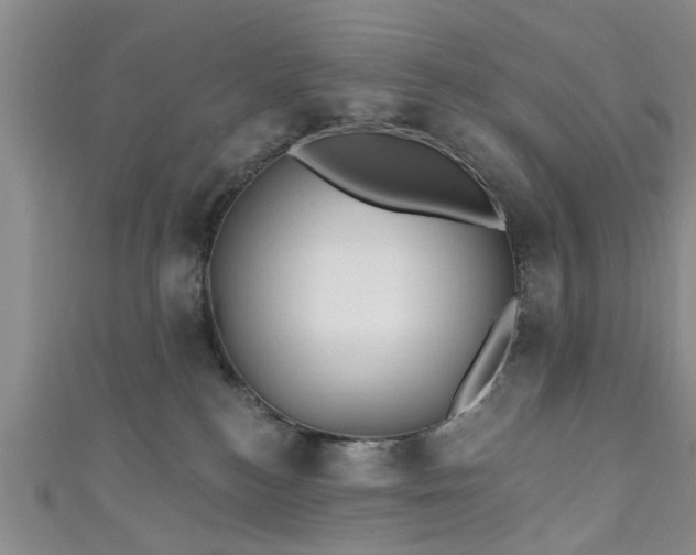 X0000110940184200906261308