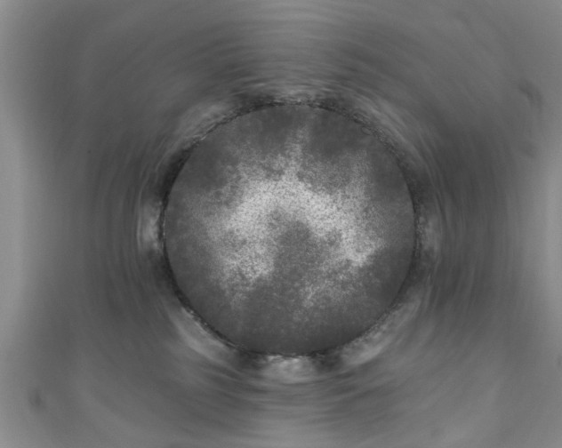 X0000110940185200906261308