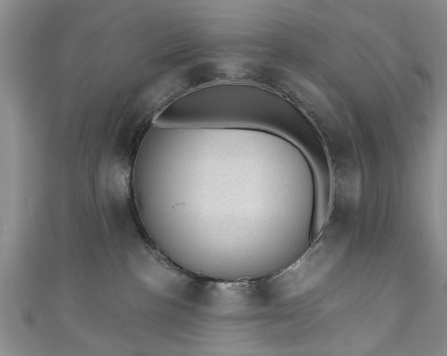 X0000110940188200906261308