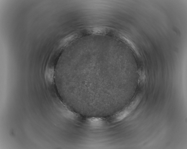 X0000110940189200906261308