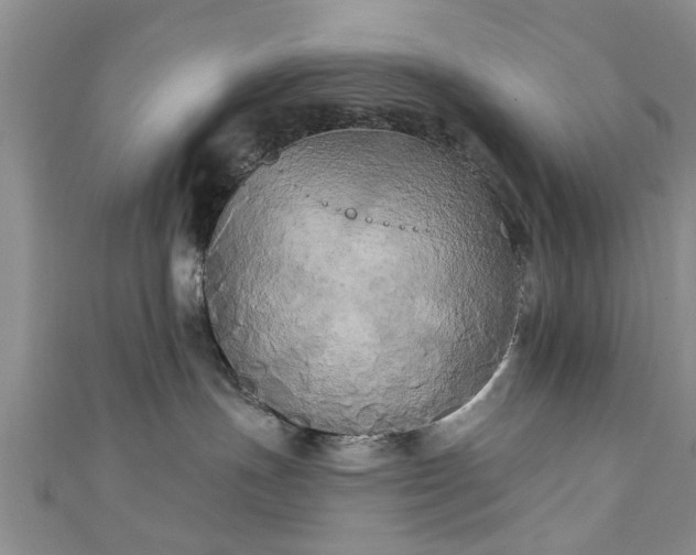 X0000110940191200906261308