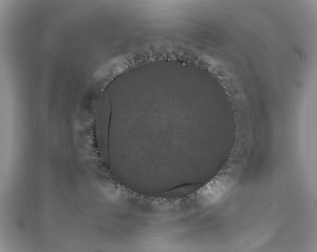 X0000110940192200906261308