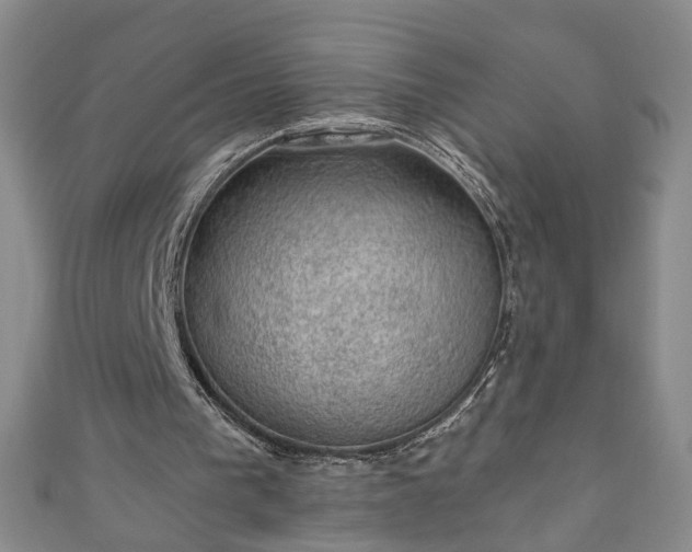 X0000110940193200906261307