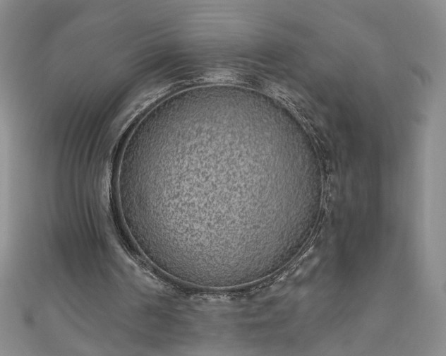 X0000110940194200906261307