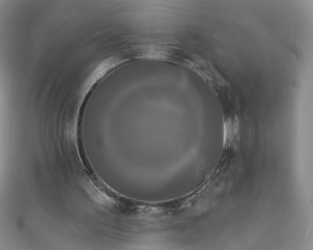 X0000110940195200906261307