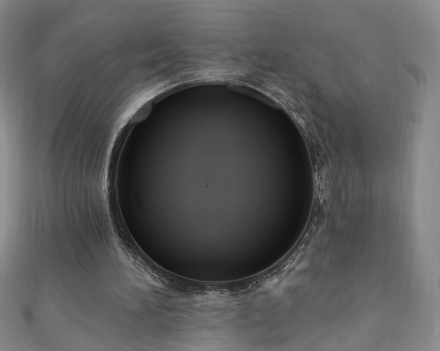 X0000110940196200906261307