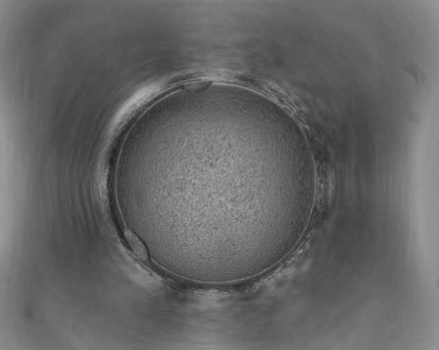 X0000110940197200906261307