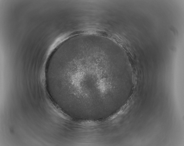 X0000110940198200906261307