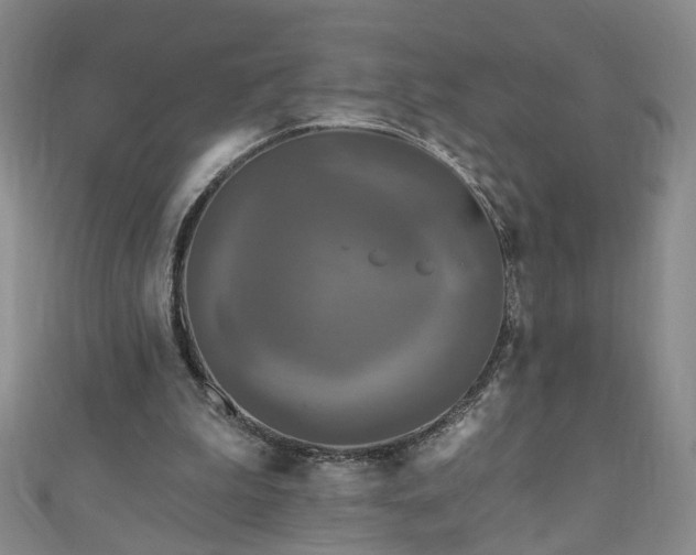 X0000110940199200906261307