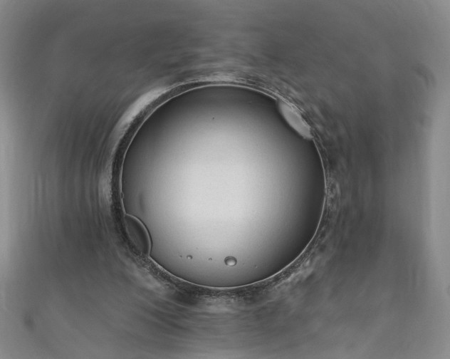 X0000110940200200906261307