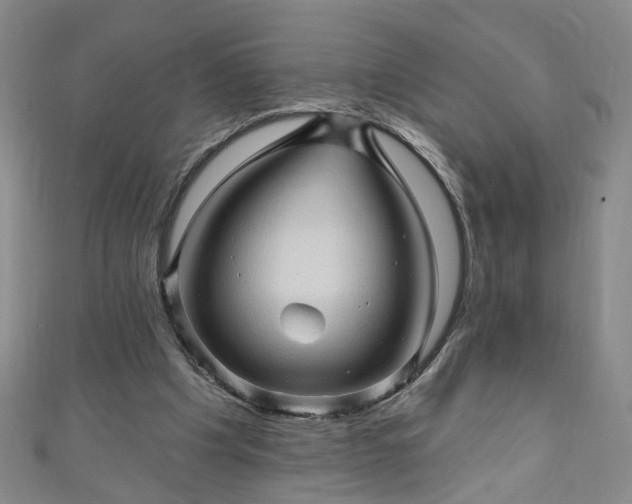 X0000110940201200906261307