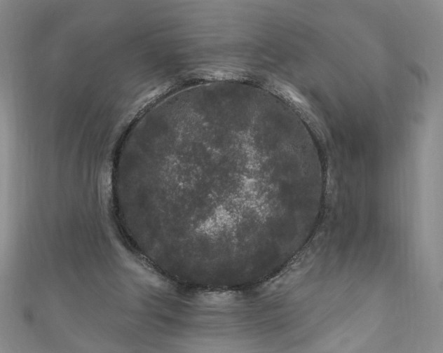 X0000110940202200906261307