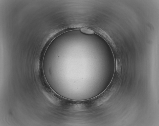 X0000110940204200906261307