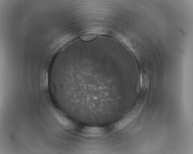 X0000110940205200906261307