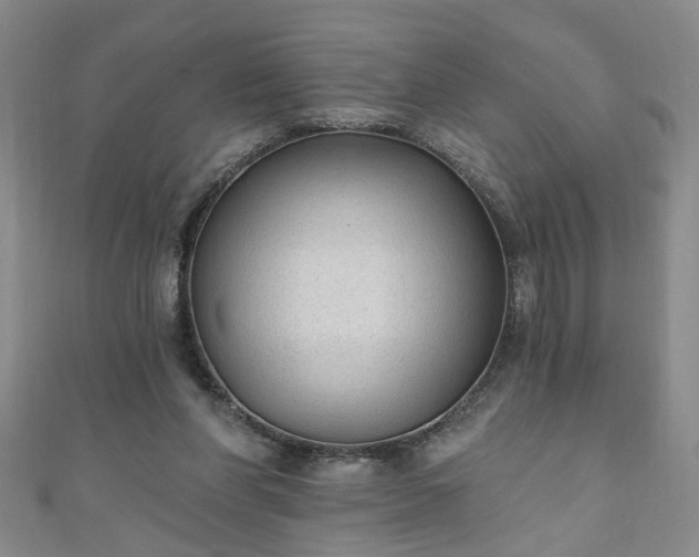 X0000110940206200906261307