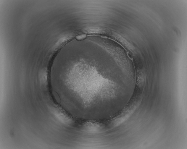 X0000110940207200906261307