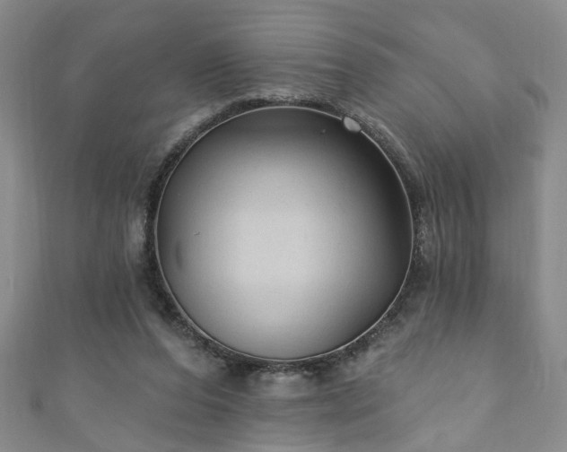 X0000110940208200906261307