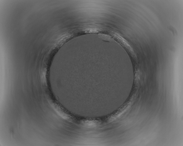 X0000110940209200906261307