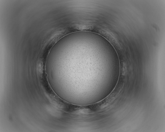 X0000110940210200906261307