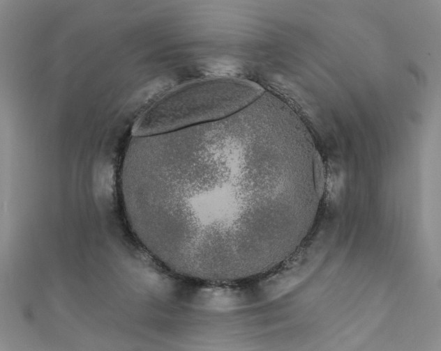 X0000110940211200906261307