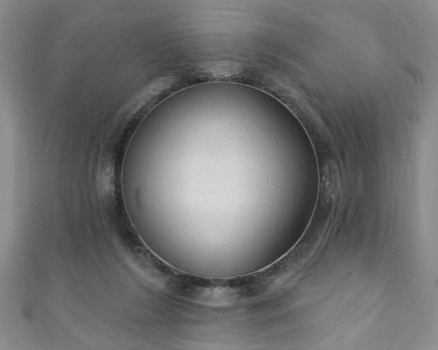 X0000110940212200906261307