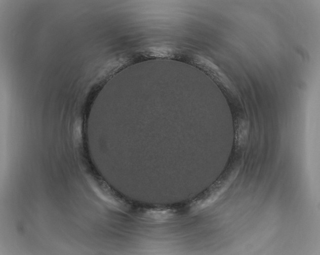 X0000110940213200906261307