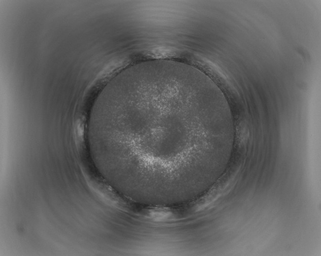 X0000110940214200906261307