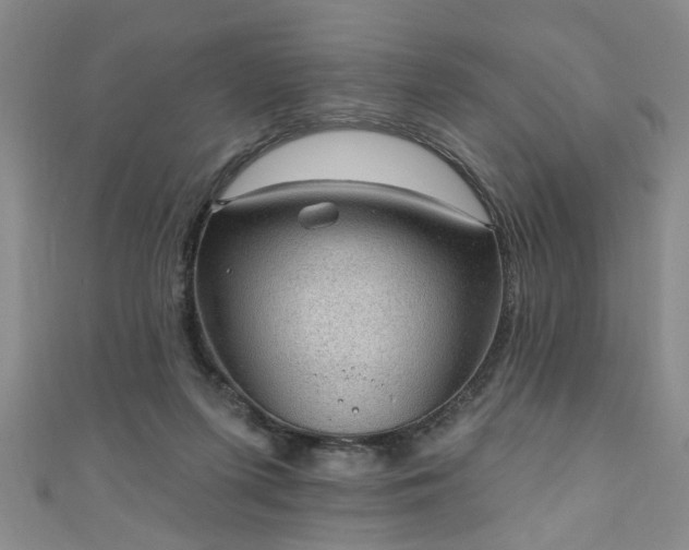 X0000110940215200906261307