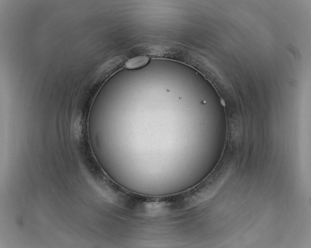 X0000110940216200906261307