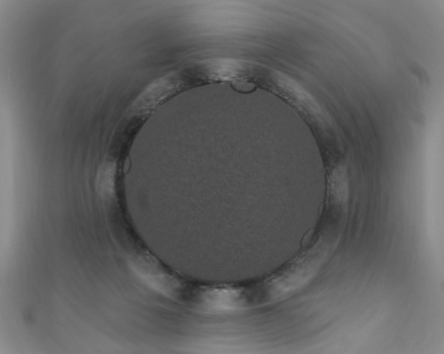 X0000110940217200906261307