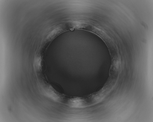 X0000110940219200906261307