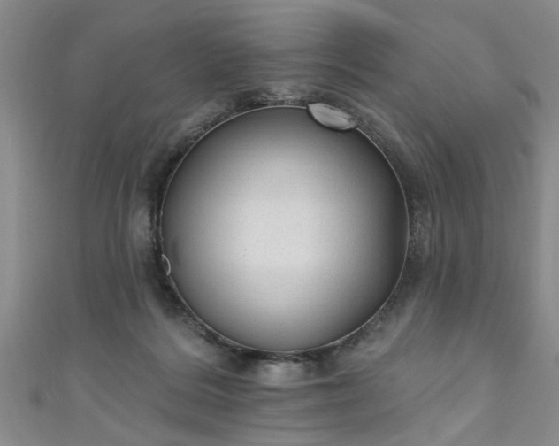 X0000110940220200906261307