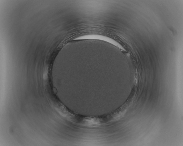 X0000110940221200906261307