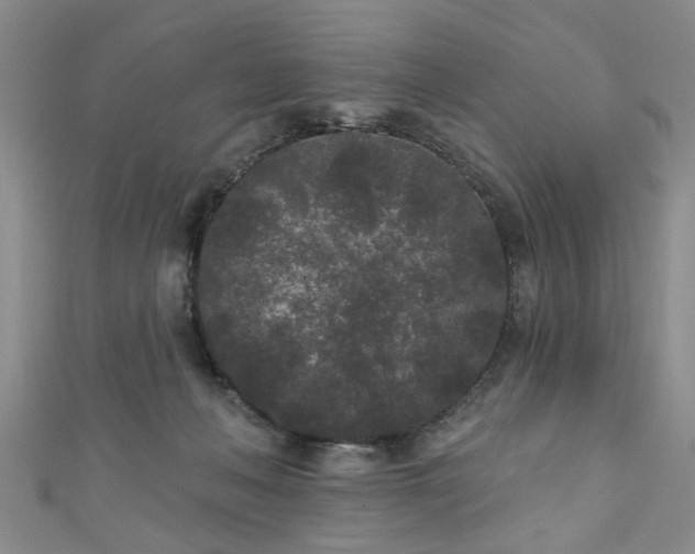 X0000110940222200906261307