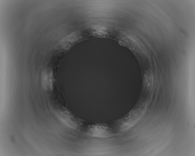 X0000110940223200906261307