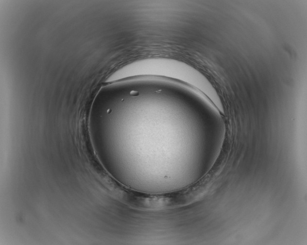 X0000110940225200906261307