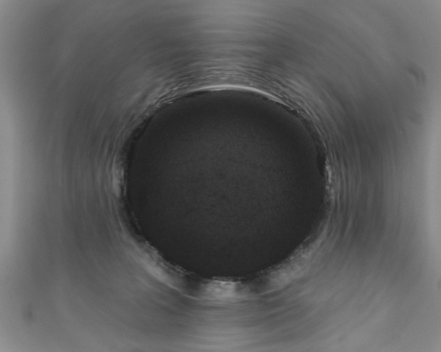 X0000110940227200906261307