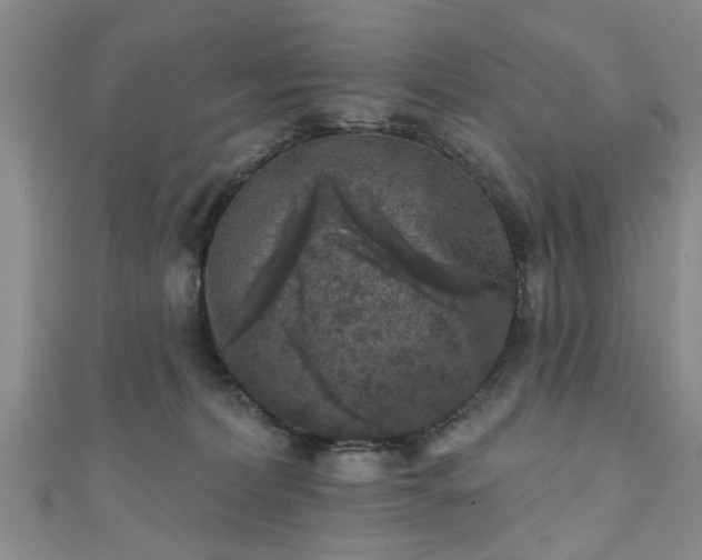 X0000110940228200906261307