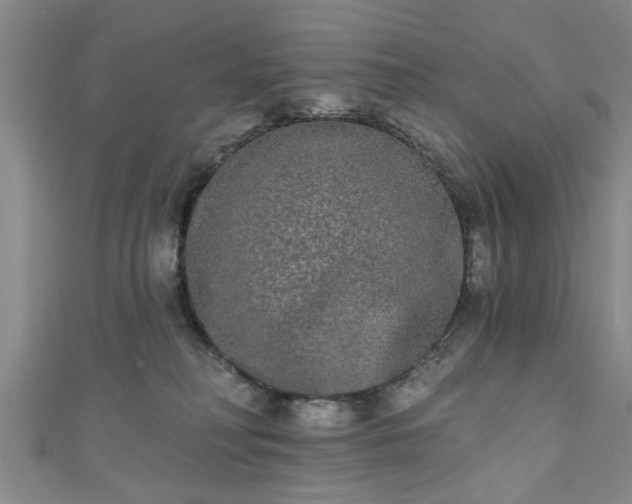 X0000110940230200906261307