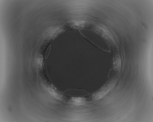 X0000110940231200906261307