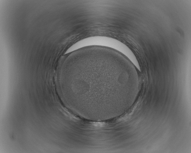 X0000110940233200906261307