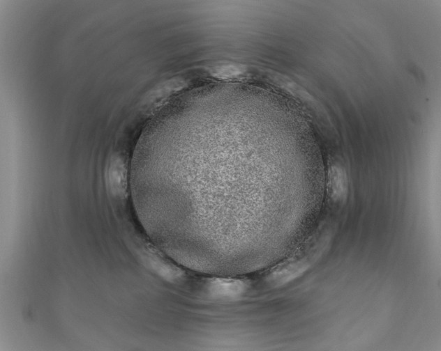 X0000110940234200906261307