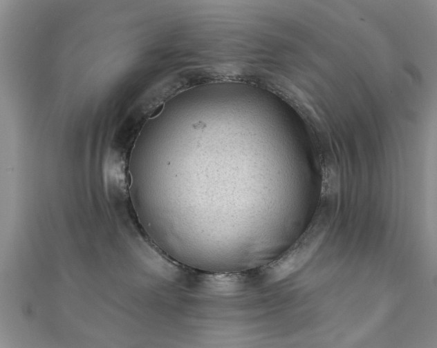 X0000110940238200906261307