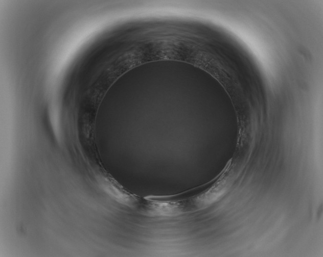 X0000110940239200906261307