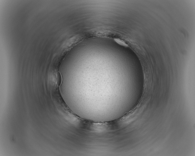 X0000110940240200906261307