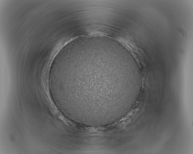 X0000110940241200906261306