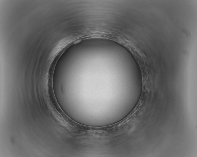 X0000110940242200906261306