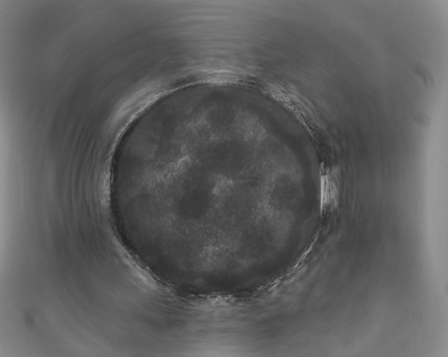 X0000110940243200906261306